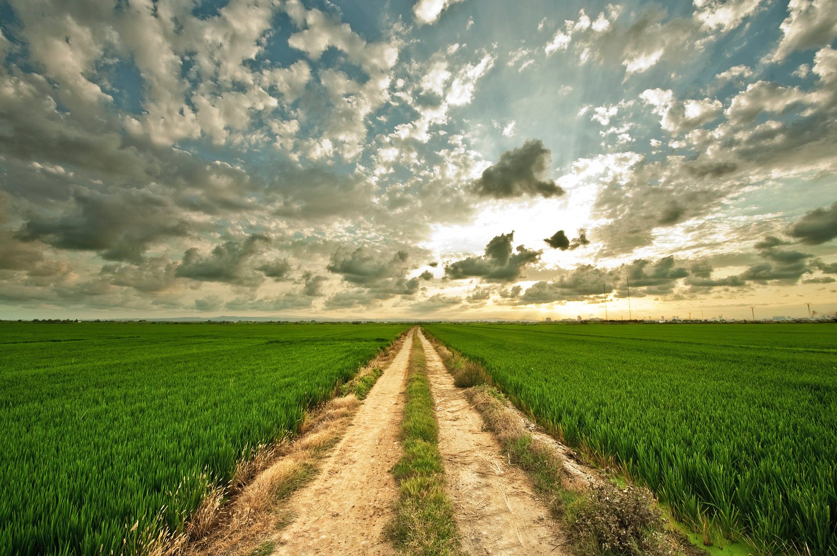 Agricultural Farmland